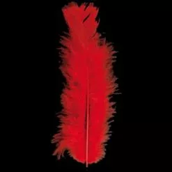 WIDMANN PLUMES ROUGES - SACHET DE 100 PLUMES 15 CM