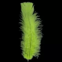 WIDMANN PLUMES VERTES X50