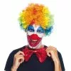 PERRUQUE CLOWN MULTICOLORE