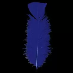 PLUMES BLEUES - SACHET DE 100 PLUMES 15 CM